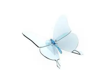 Dcoupe et assemblage Plexiglas dcoratif