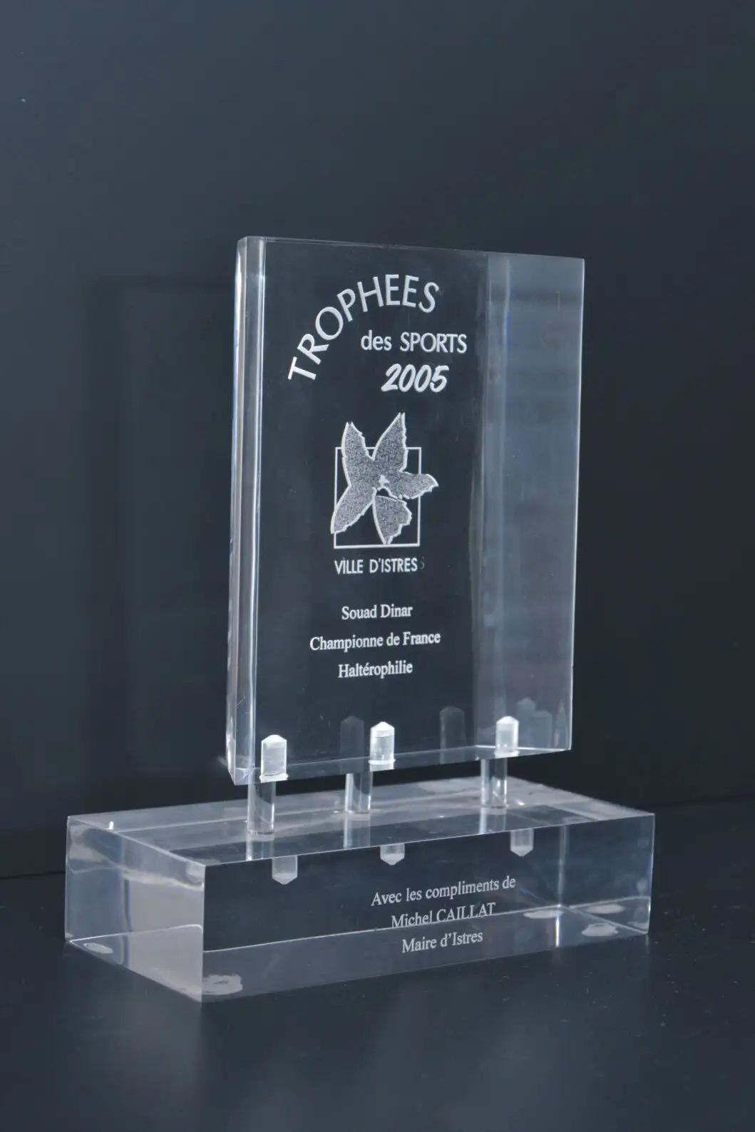 Trophée plexi transparent